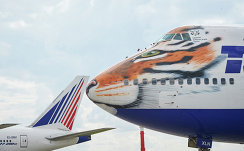 *Авиакомпания "Трансаэро" и созданный Русским географическим обществом центр "Амурский тигр" представили самолет Boeing 747-400 в тигриной раскраске