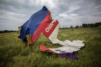*Обломки лайнера Boeing 777 Малайзийских авиалиний, потерпевшего крушение в районе города Шахтерск Донецкой области
