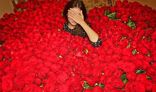 Миллион алых роз