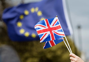 Противники выхода Великобритании из Европейского Союза (ЕС) на улице Лондона