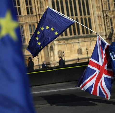 " Демонстрант с флагами ЕС и Великобритании в центре Лондона