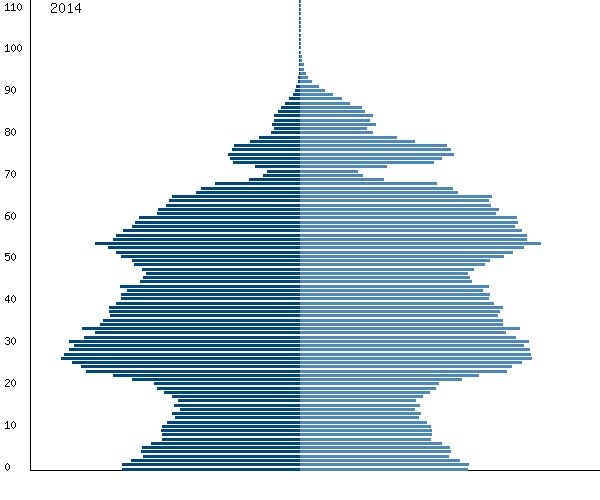 Возрастная структура населения канады. Возрастная пирамида Башкирии. Демографическая пирамида РФ 2014.