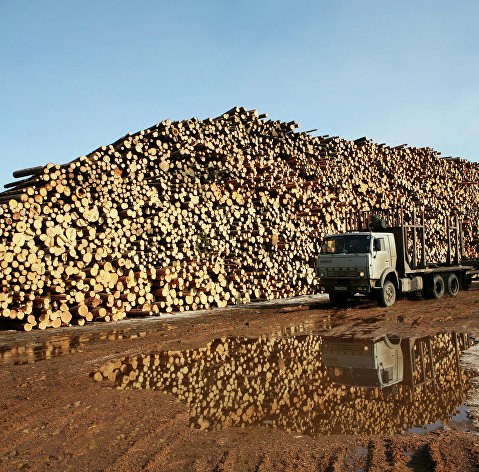 Территория древесного производства