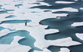 Таяние льда в Арктике. 12 июля 2011