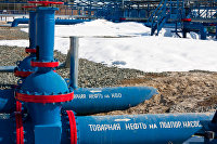 Пошлина на экспорт нефти из РФ с 1 мая может снизиться на $12,1 - до $448,6 за тонну [Версия 1]