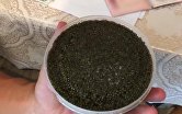 !ФСБ РФ пресекла незаконный оборот биоресурсов