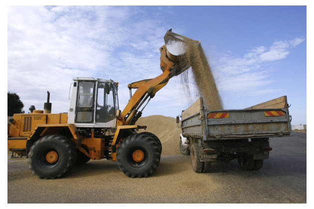 РФ с начала сельхозгода экспортировала более 900 тыс тонн зерна - Минсельхоз
