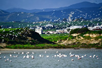 Кипр, Ларнака