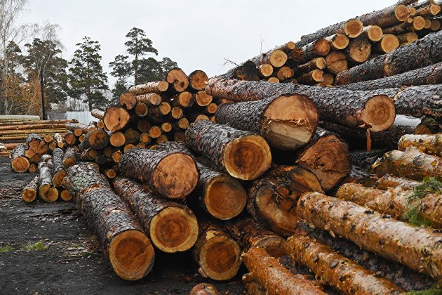 Эксперт Шматков: компаниям лесной отрасли России придется переориентироваться на другие рынки