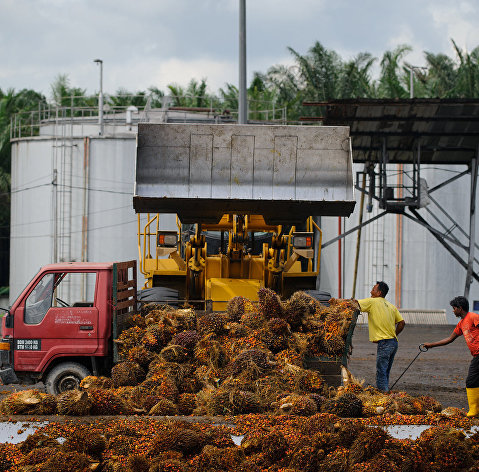Разгрузка сырья на предприятии по производству пальмового масла на окраине Куала-Лумпур, Индонезия