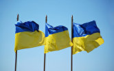 *флаг Украины