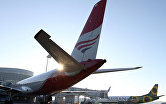 Red Wings