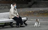 Женщина с собакой в Ялте