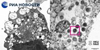 Новый штамм COVID-19 "омикрон"