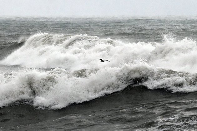 Черное море Черное море