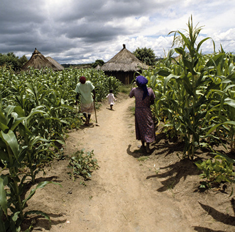 Деревня близ города Мутаре в Зимбабве