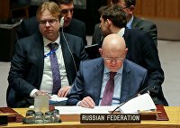 Василий Небензя на заседании Совета безопасности ООН