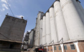Россия собрала 72,2 млн тонн зерна с 98% площадей – Минсельхоз