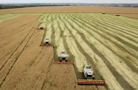 Сбор урожая рапса и пшеницы