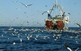Вылов водных биоресурсов рыбаками РФ