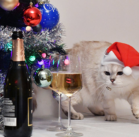 Новый год Новый год