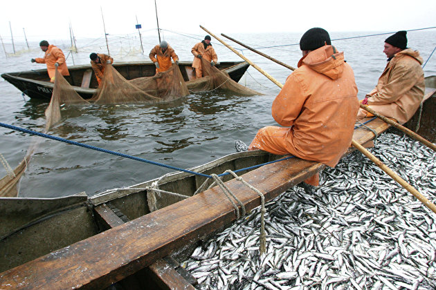Ловля рыбы