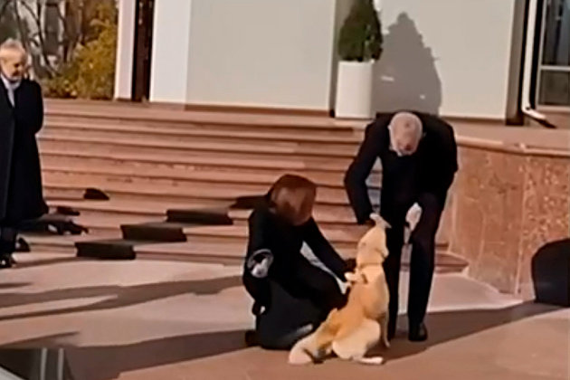 Собака президента Молдавии Майи Санду укусила за руку австрийского президента Александера ван дер Беллена