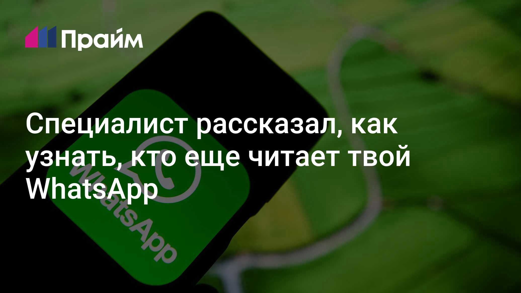 Специалист рассказал, как узнать, кто еще читает твой WhatsApp -  07.05.2021, ПРАЙМ