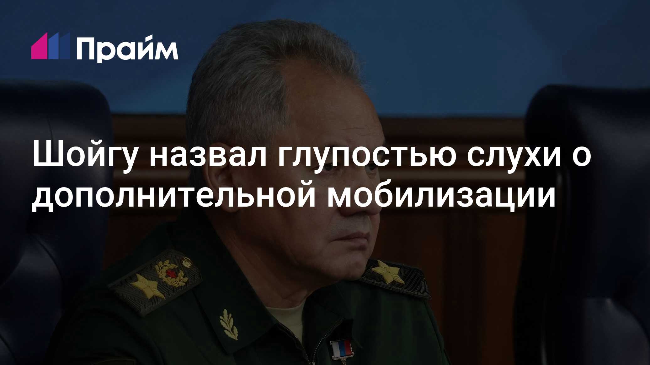 Шойгу назвал глупостью дополнительную мобилизацию. Шойгу назвал глупостью дополнительную мобилизацию