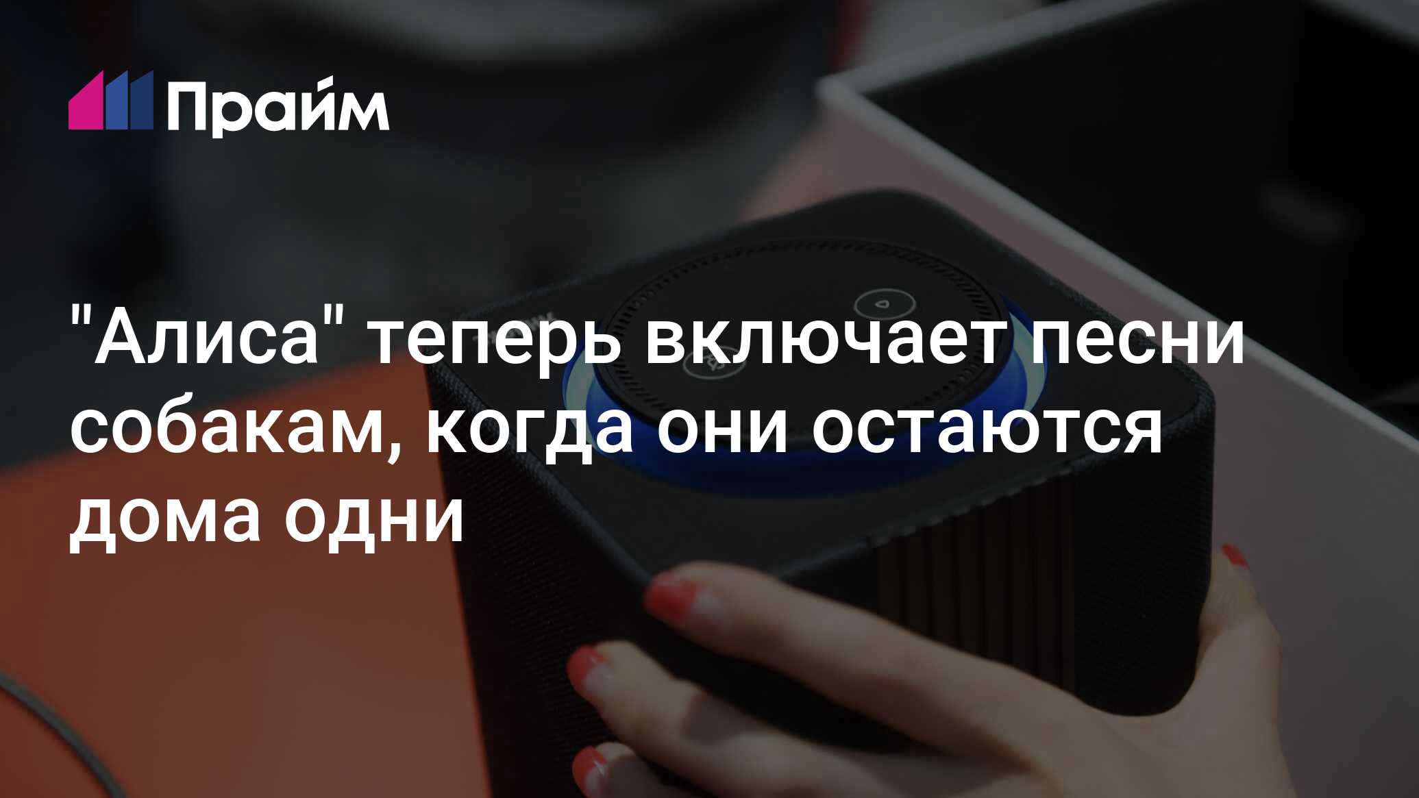 "Алиса" теперь включает песни собакам, когда они остаются дома одни ...