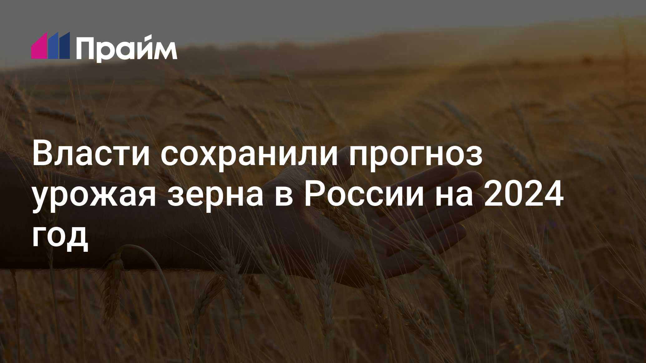 Прогноз на урожай зерновых в 2025. Прогноз на урожай зерновых в 2025