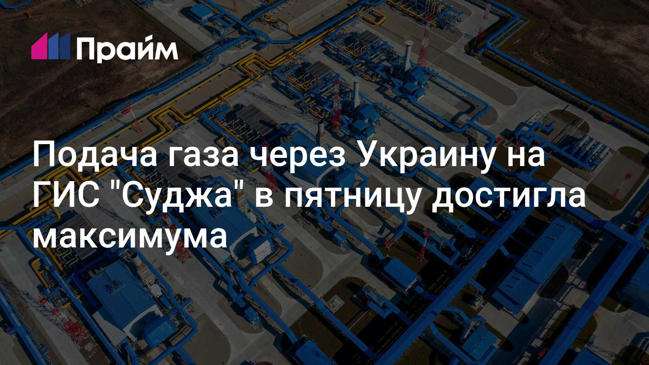 Гис суджа сегодня. Гис суджа сегодня