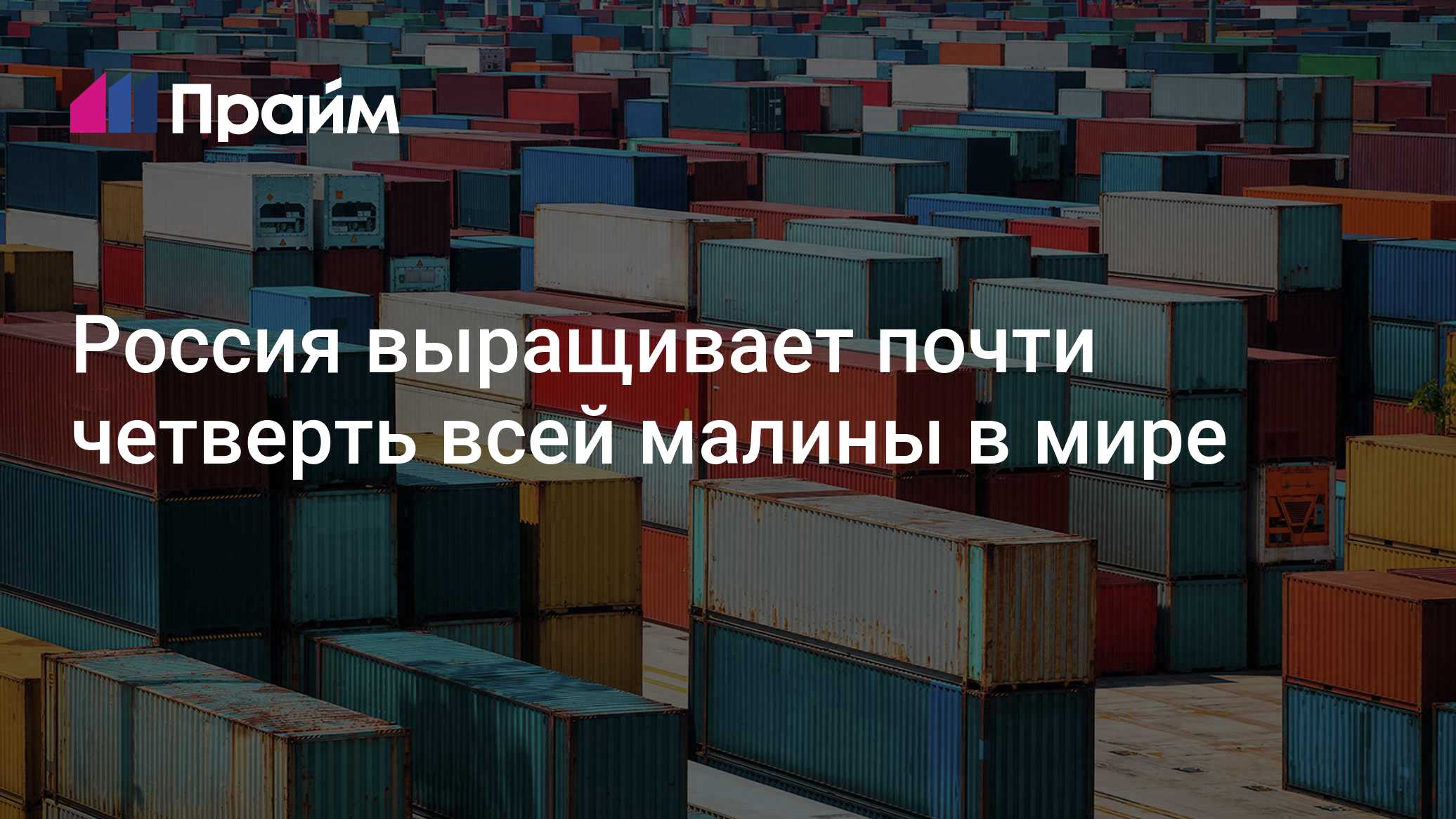 Россия выращивает почти четверть всей малины в мире