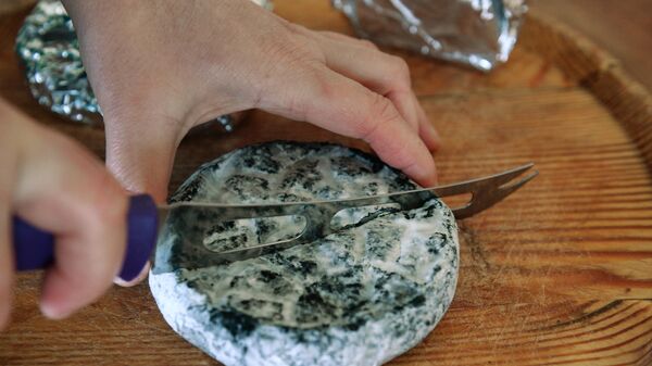 Сыр с благородной плесенью