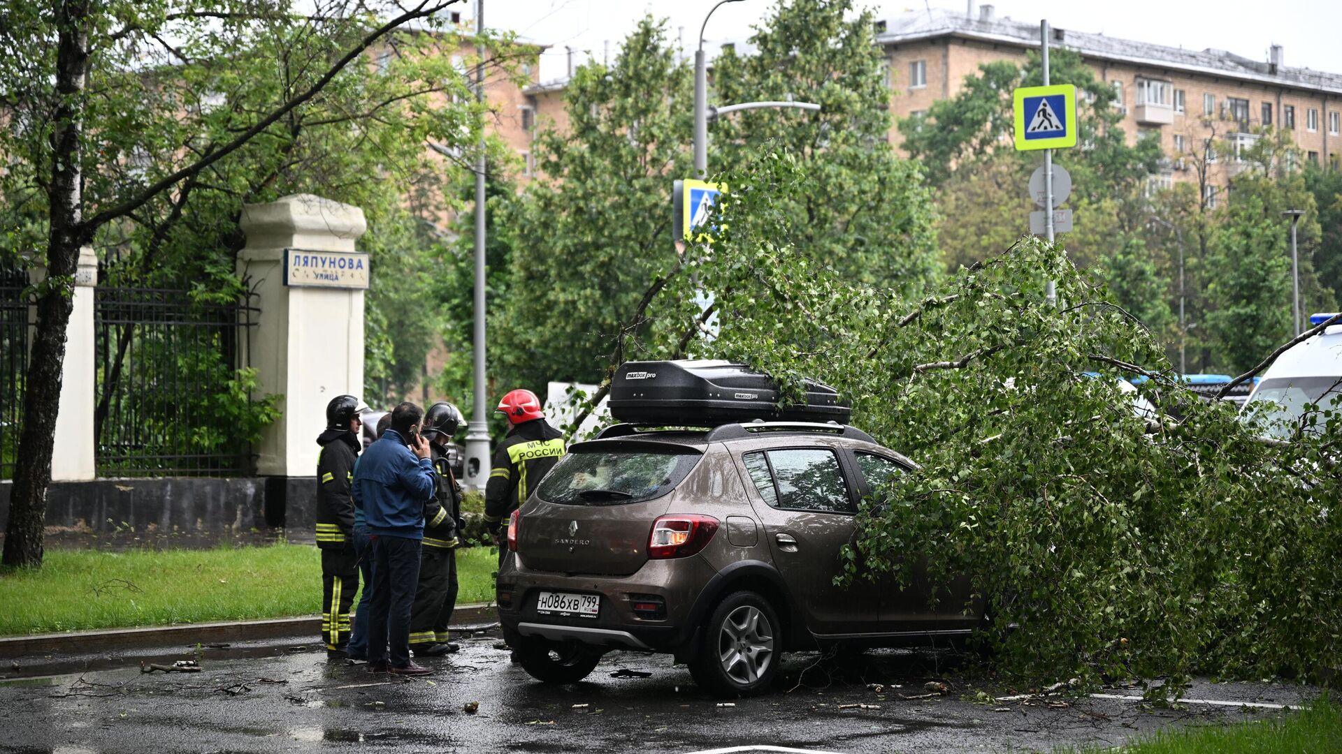 Что делать, если из-за урагана дерево упало на припаркованную машину -  20.06.2024, ПРАЙМ