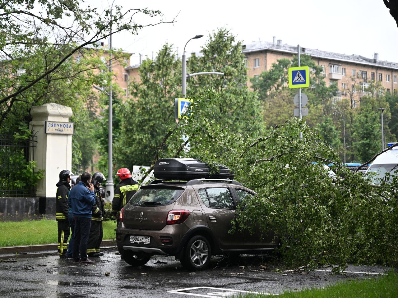 Что делать, если из-за урагана дерево упало на припаркованную машину -  20.06.2024, ПРАЙМ