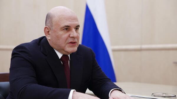 Премьер-министр Михаил Мишустин провел встречу с главой Росприроднадзора С. Радионовой