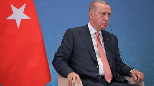 Эрдоган: Евросоюз просчитывает, как отстранить Венгрию от председательства