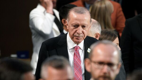 Эрдоган откроет 10 августа ближайший к АЭС 