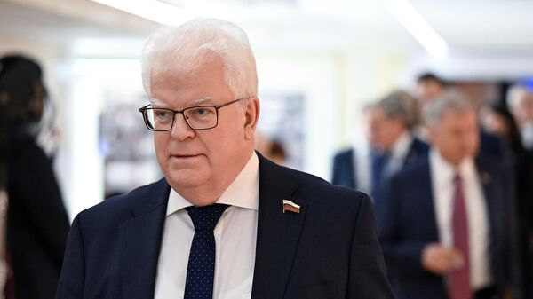 Заседание Совета федерации РФ