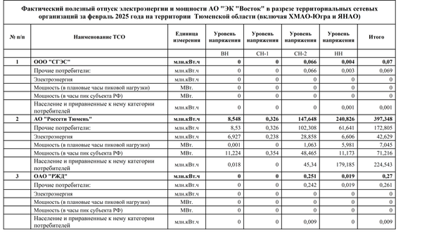 АО ЭК Восток Тюменская область февраль 2025 1
