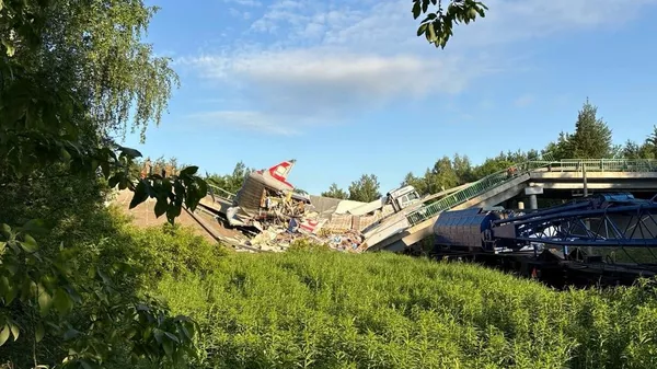 Обрушение моста на пассажирский поезд в Брянской области