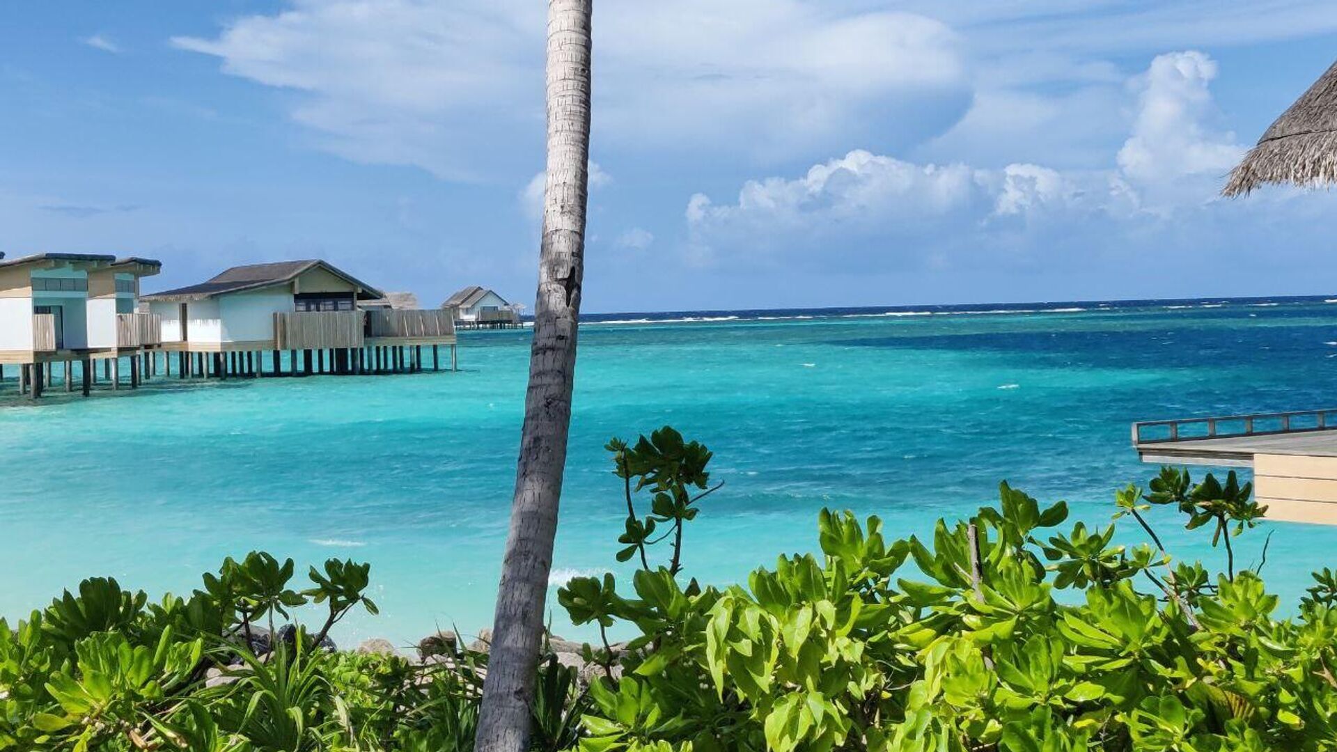 Мальдивы - ПРАЙМ, 1920, 23.10.2025