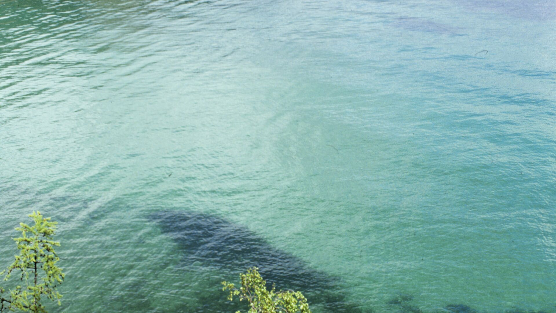 Вид на озеро - ПРАЙМ, 1920, 16.09.2025