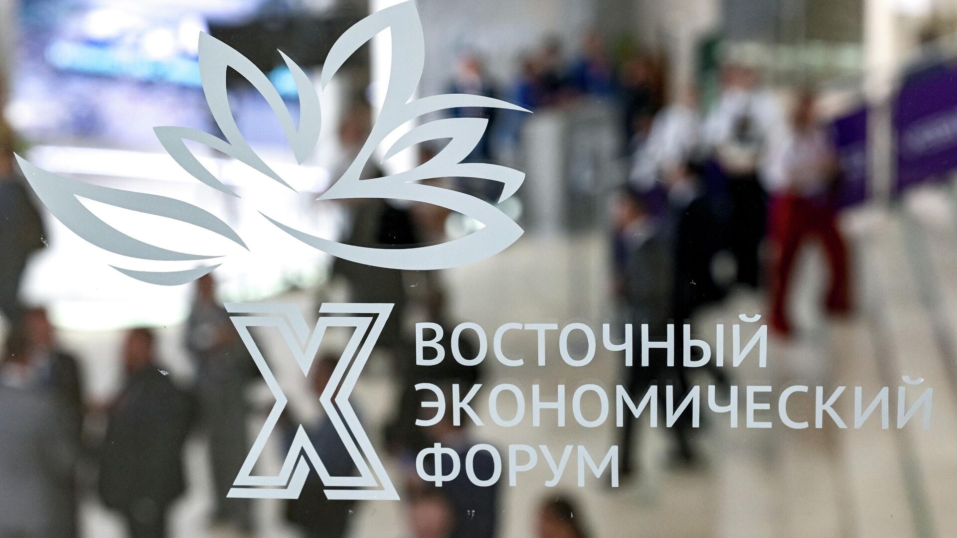 Восточный экономический форум - ПРАЙМ, 1920, 06.09.2025