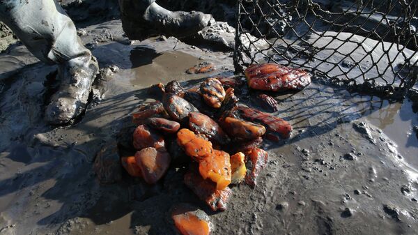 Предприятие Янтарный комбинат в Калининградской области