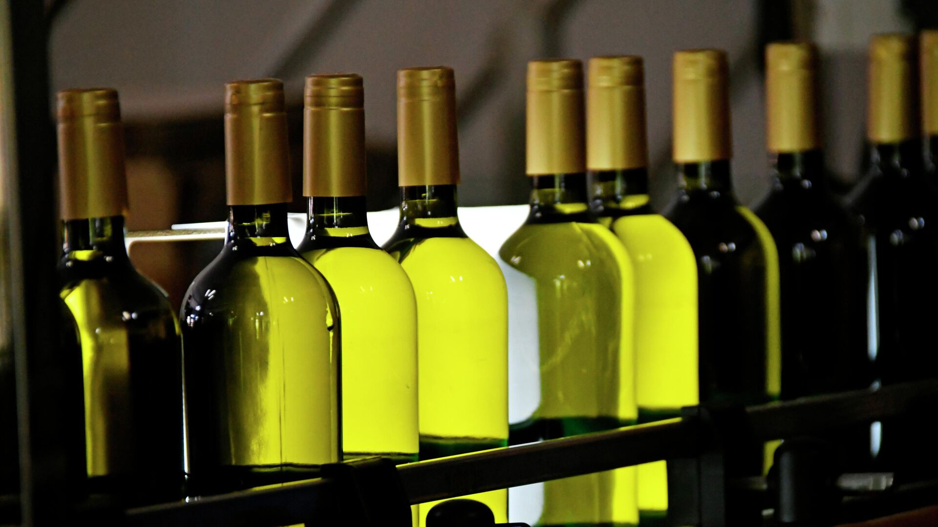 Бутылки вина на конвейере - ПРАЙМ, 1920, 12.11.2025
