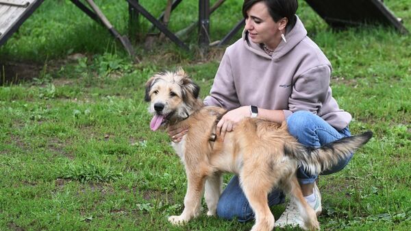 Женщина выгуливает собаку