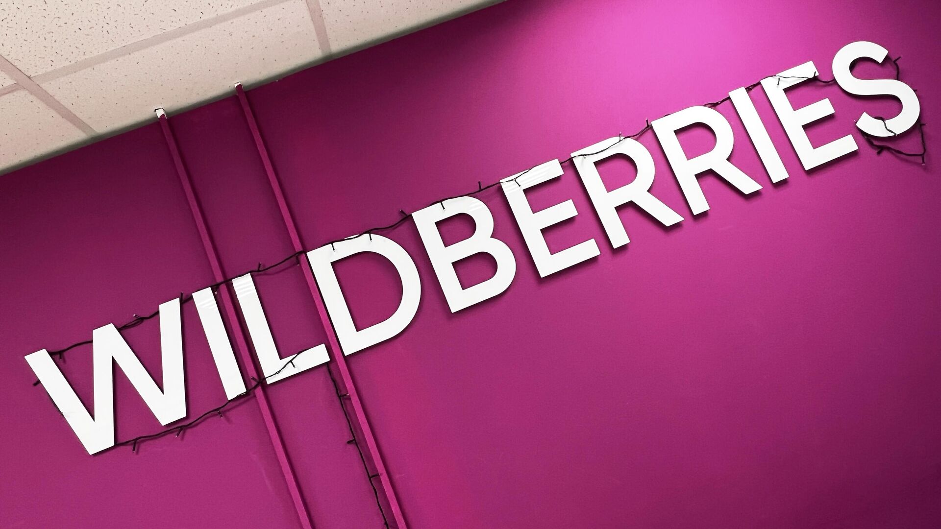 Wildberries заявил, что запрет скидок увеличит цены на маркетплейсах на 15-20%