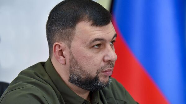 Временно исполняющий обязанности главы Донецкой Народной Республики Денис Пушилин